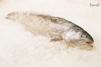 Vikerforell roogitud 2-3kg, Oncorhuncus mykiss jahutatud  0...+4c