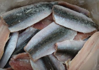 Räimefilee „liblikas“ Clupea harengus membras ~10-14cm 5% glasuur IQF (EST 5 kg/kst) -18c