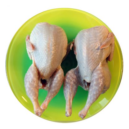 Vutt, vutirümp (160-190g/tk)  ~ 0,5-1,2kg vp "Järveotsa Vutifarm" (EST ~10 kg/kst) -18c
