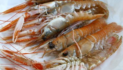Krabi, soft shell Scylla Serrata, Prime 1 kg (MMR 10 kg/kst) -18